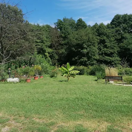 Naturkert Vendeghaz Appartement