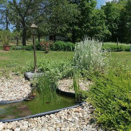 Naturkert Vendeghaz דירה