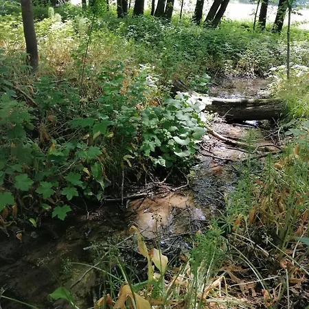 Apartamento Naturkert *