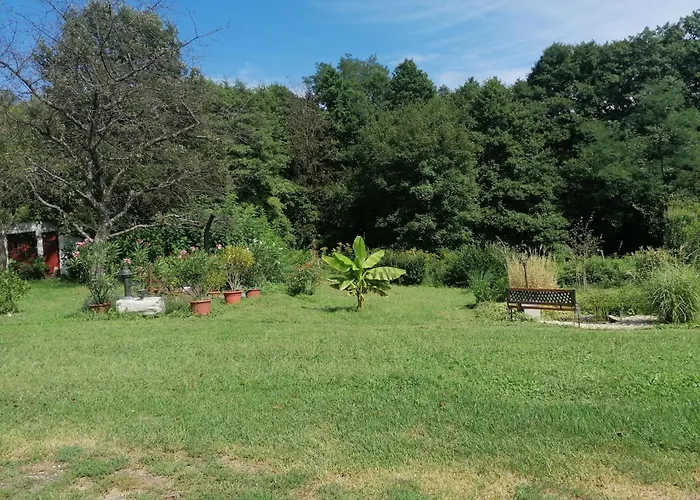 Naturkert Vendeghaz Appartement