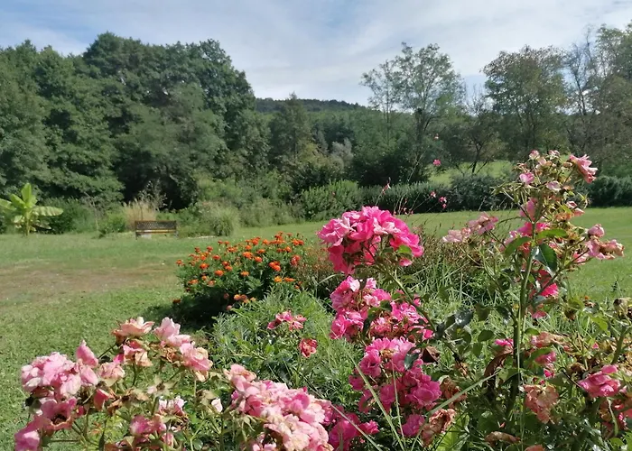 Naturkert Vendeghaz Appartement *