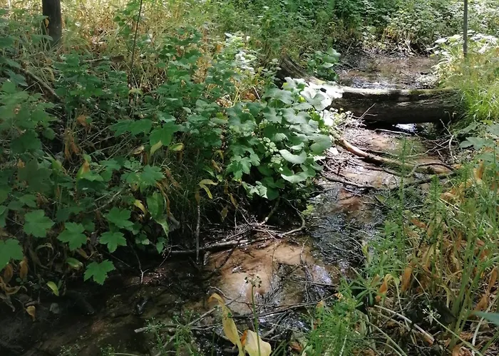 Appartamento Naturkert *